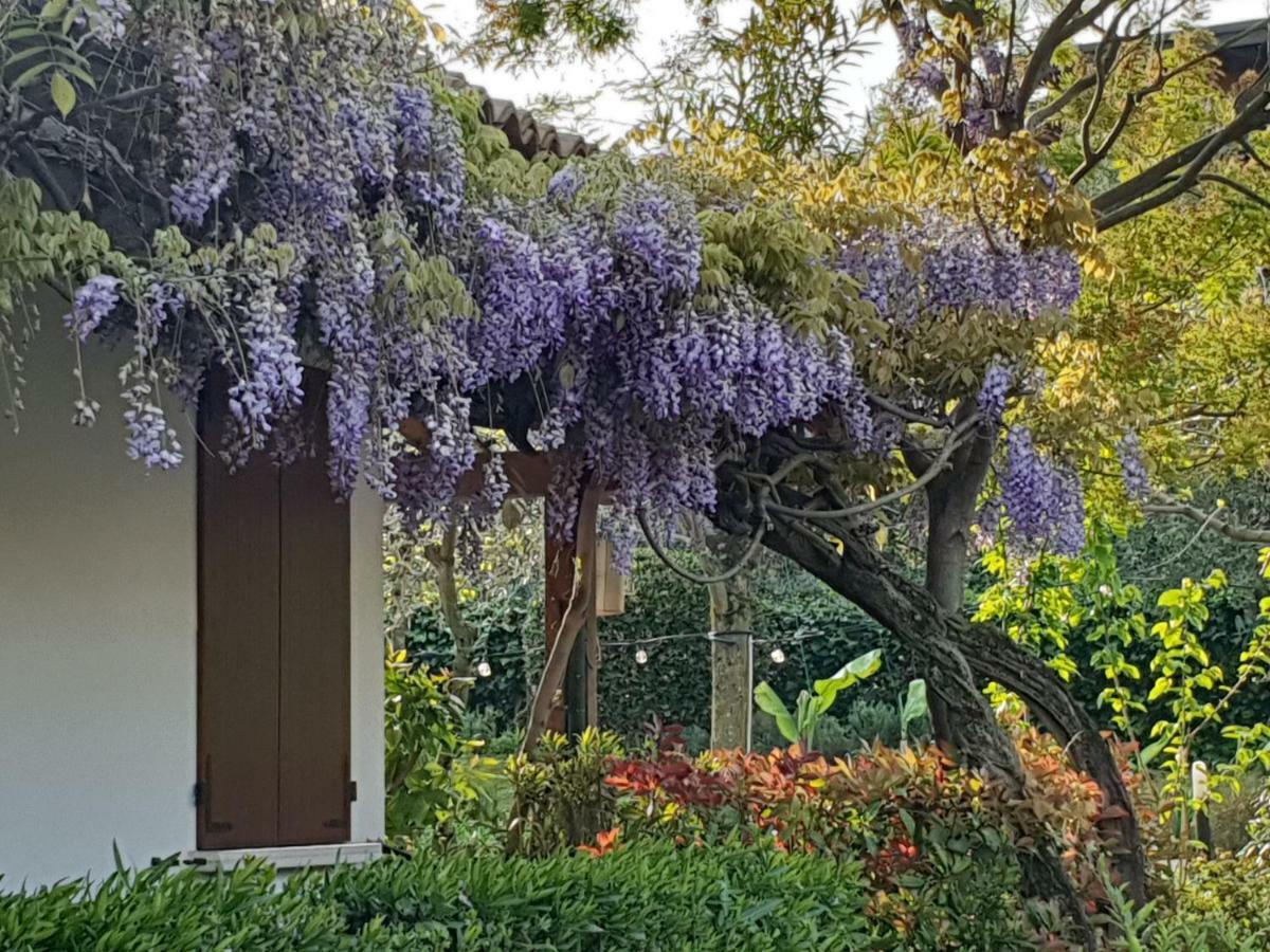 Locanda Da Vittorio Manerba del Garda Εξωτερικό φωτογραφία